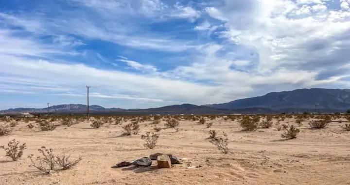 Serene Modern Home Backdoor With Great Wifi, Games, Movies, Patio Seating And Bbq Easy Access To North Joshua Tree National Park In 10 Minutes Twentynine Palms Eksteriør billede